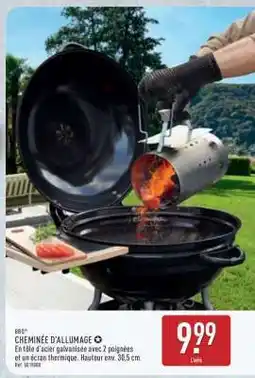 ALDI CHEMINÉE D'ALLUMAGE offre