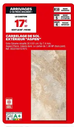 Brico Dépôt Carrelage de sol extérieur aspen offre