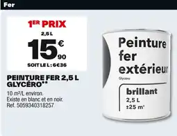 Brico Dépôt Peinture fer offre