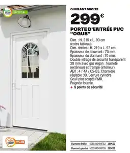 Brico Dépôt Porte d'entrée pvc ogus offre