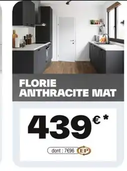 Brico Dépôt Florie anthracite mat offre