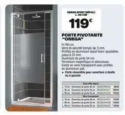 Brico Dépôt Porte pivotante onega offre