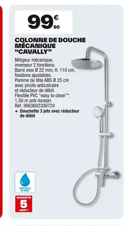 Brico Dépôt Colonne de douche mécanique cavally offre