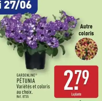 ALDI Pétunia offre