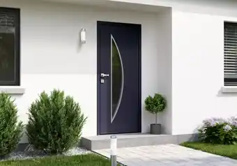 Brico Dépôt GEOM Porte d'entrée métal badur offre