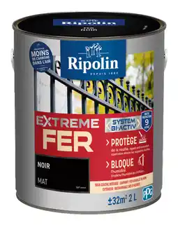 Brico Dépôt Peinture extrême fer 2 l offre