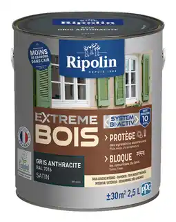 Brico Dépôt Peinture bois 2,5 l offre