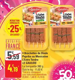 G20 LE GAULOIS 4 Brochettes de Dinde Paprika ou Mexicaine L'Extra Tendre offre