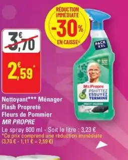 G20 MR PROPRE Nettoyant Ménager Flash Propreté Fleurs de Pommier offre
