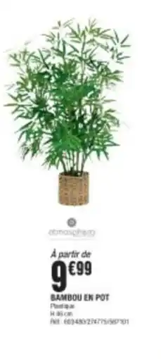 La Foir'Fouille Bambou en pot offre