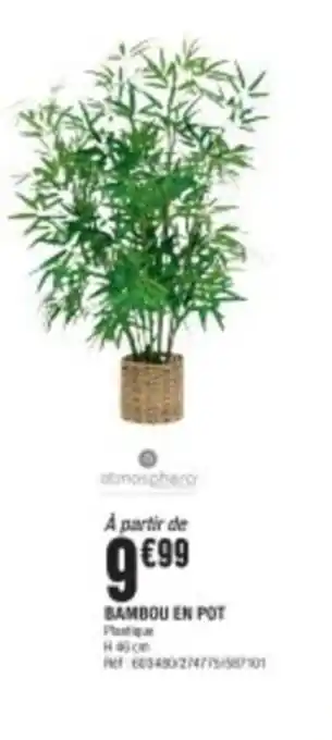 La Foir'Fouille Bambou en pot offre