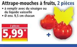 Norma Attrape-mouches à fruits, 2 pièces offre