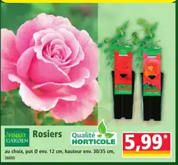 Norma Rosiers offre