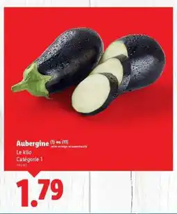 AUBERGINE