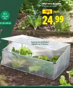 Lidl Mini serre de jardin offre