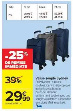 Carrefour Market Valise Souple Sydney offre