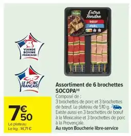 Carrefour Assortiment de 6 brochettes SOCOPA offre