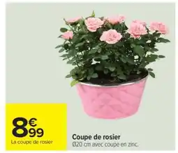 Carrefour Coupe de rosier offre