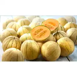 Carrefour Melon charentais CARREFOUR BIO offre