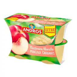 Carrefour ANDROS Desserts Fruitiers avec Morceaux Offre Découverte offre