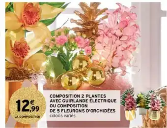 Intermarché Hyper Composition 2 Plantes Avec Guirlande électrique offre