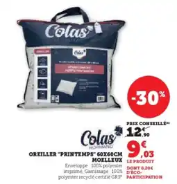 Hyper U COLAS Oreiller "printemps" 60x60cm moelleux offre