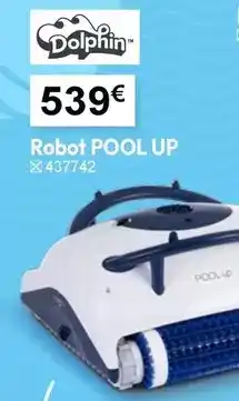 Dolphin - robot pool up