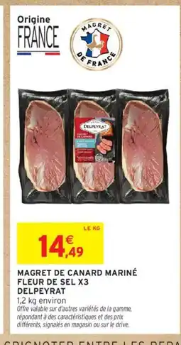 Intermarché DELPEYRAT Magret de canard mariné fleur de sel x3 offre