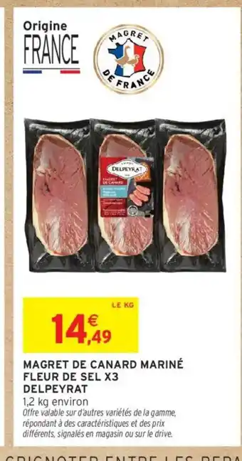 Intermarché DELPEYRAT Magret de canard mariné fleur de sel x3 offre