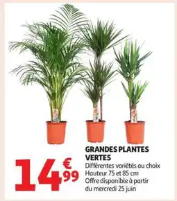 Auchan Grandes Plantes Vertes offre