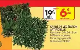 La Foir'Fouille Carré de végétation artificielle offre