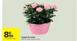 Cora x Carrefour Coupe de rosier offre