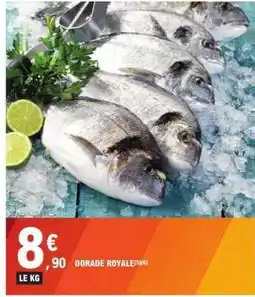 E.Leclerc DORADE ROYALE offre