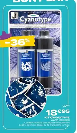 Rougier&Plé Kit cyanotype offre