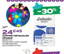 Rougier&Plé Coffret setacolor opaque offre