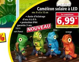 Norma I-GLOW Caméléon solaire à LED offre
