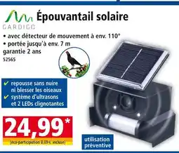 Norma GARDIGO Épouvantail solaire offre
