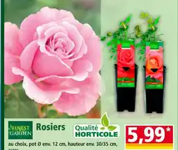 Norma Finest Garden Rosiers offre