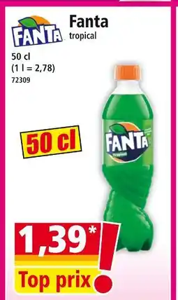 Norma Fanta offre