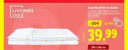 Lidl LIVARNO home Couette d'été en duvet offre