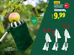 Lidl Parkside Cueille-fruits télescopique offre