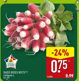 ALDI Radis roses botte offre