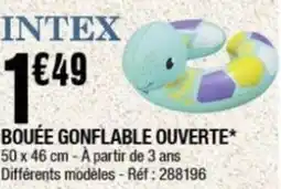 La Foir'Fouille Bouée gonflable ouverte offre