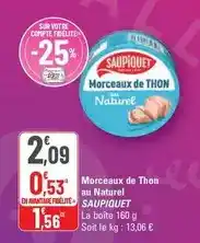 G20 Saupiquet - morceaux de thon au naturel offre