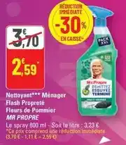 G20 Mr propre - nettoyant menager flash propre fleurs de pommier offre