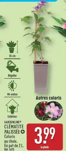 ALDI GARDENLINE Clématite palissée offre