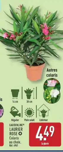 ALDI GARDENLINE Laurier rose offre