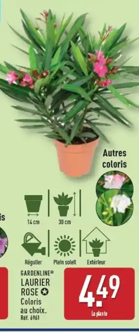 ALDI GARDENLINE Laurier rose offre