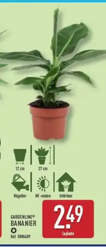 ALDI GARDENLINE Bananier offre