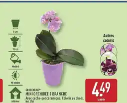 ALDI GARDENLINE Mini orchidée 1 branche offre